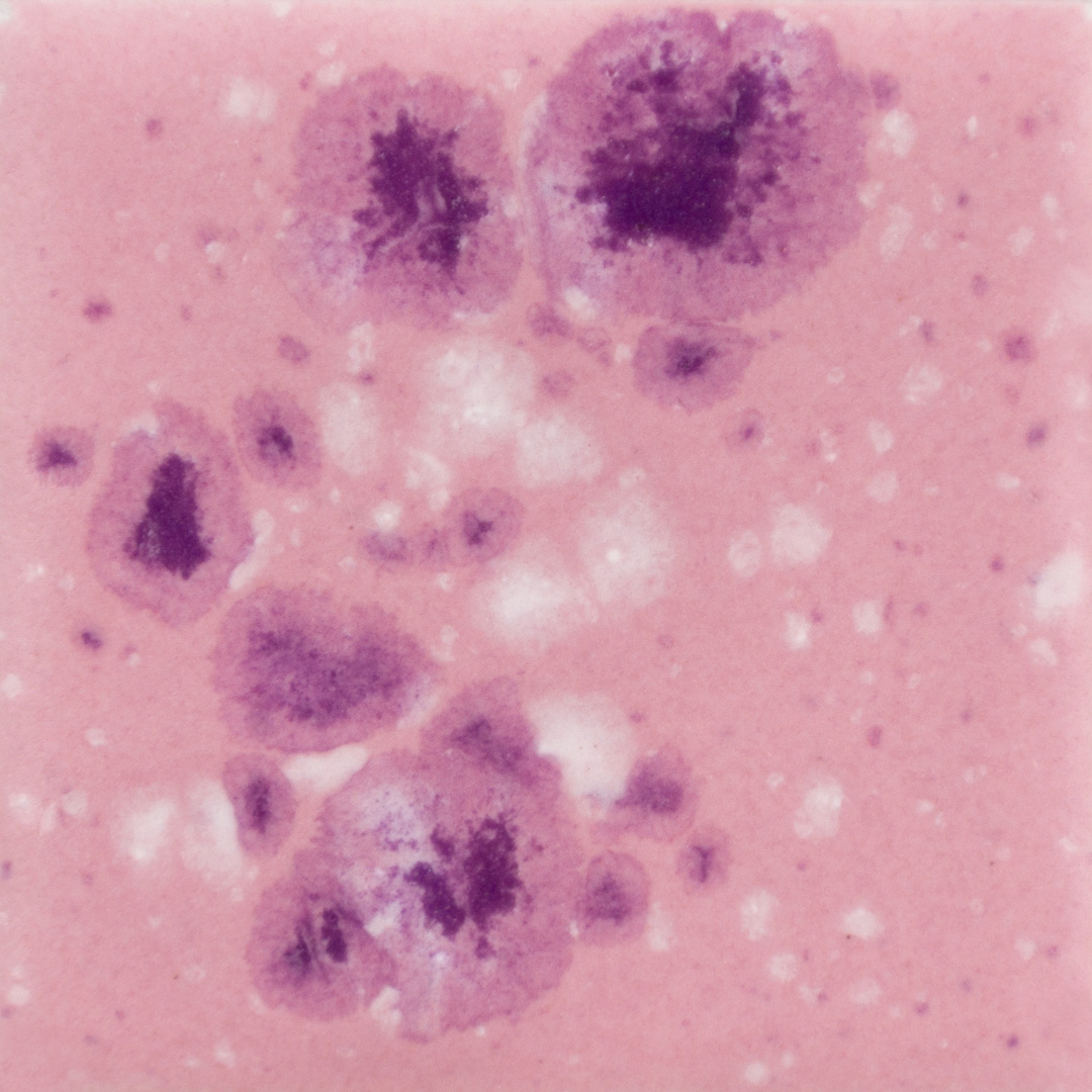 CG1014 Pink Plum