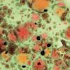 GC982 Mixed Melon